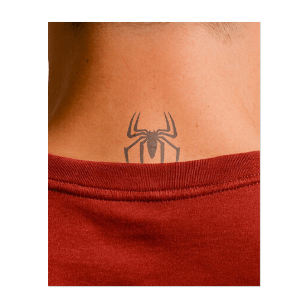 Spinnen Symbol INKON DE